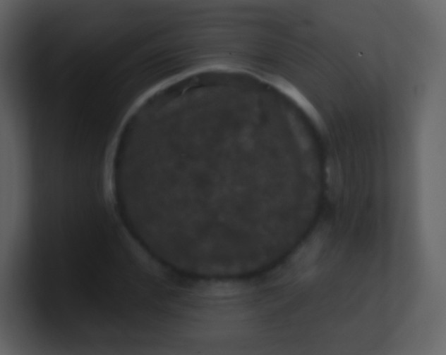 X0000100890972200807081037