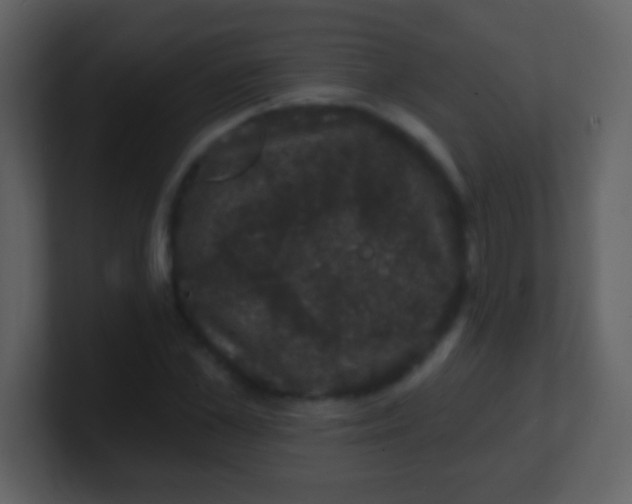 X0000100890973200807081037