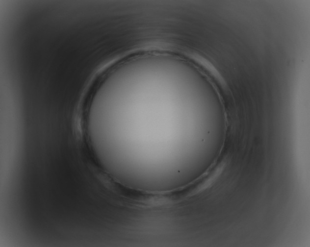 X0000100890974200807081037