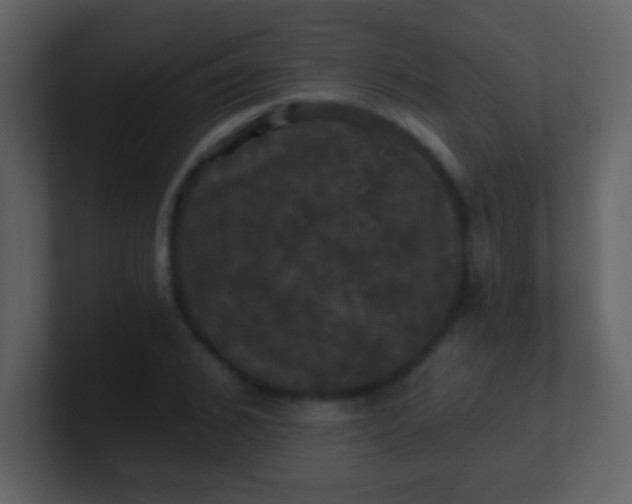 X0000100890976200807081037