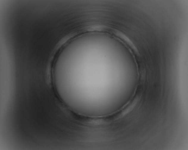 X0000100890978200807081037