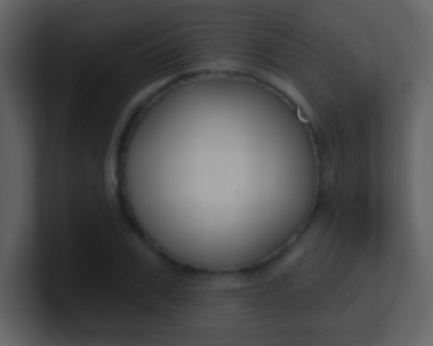 X0000100890979200807081037