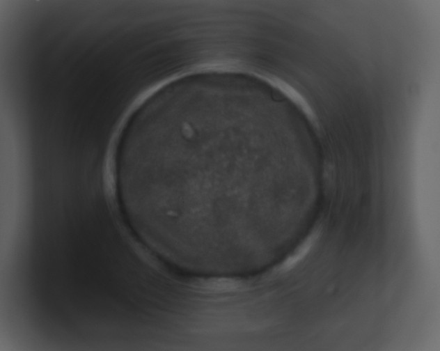 X0000100890981200807081037