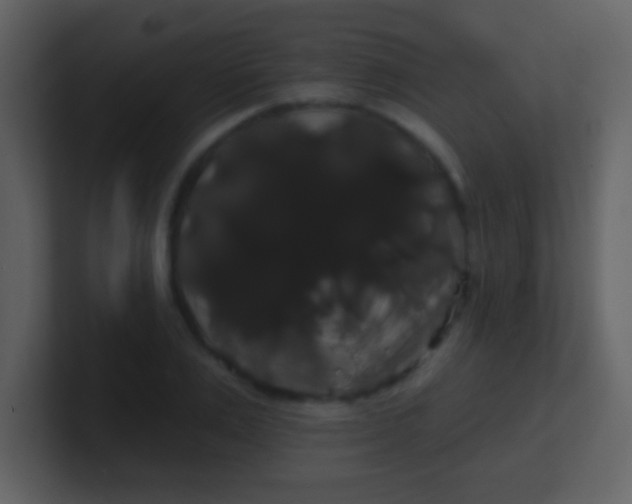 X0000100890983200807081037