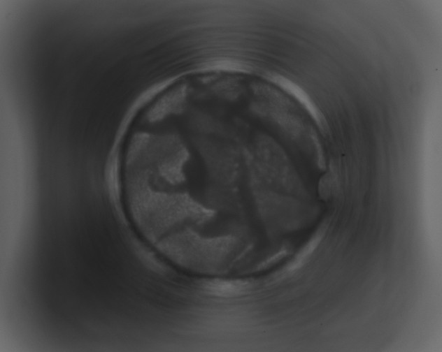 X0000100890987200807081037