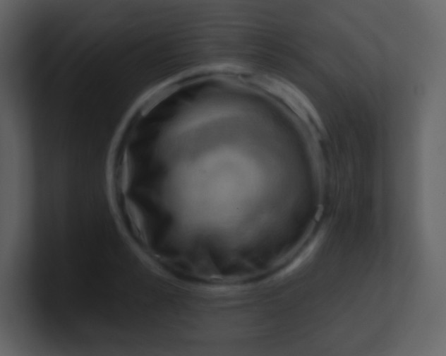 X0000100890989200807081037