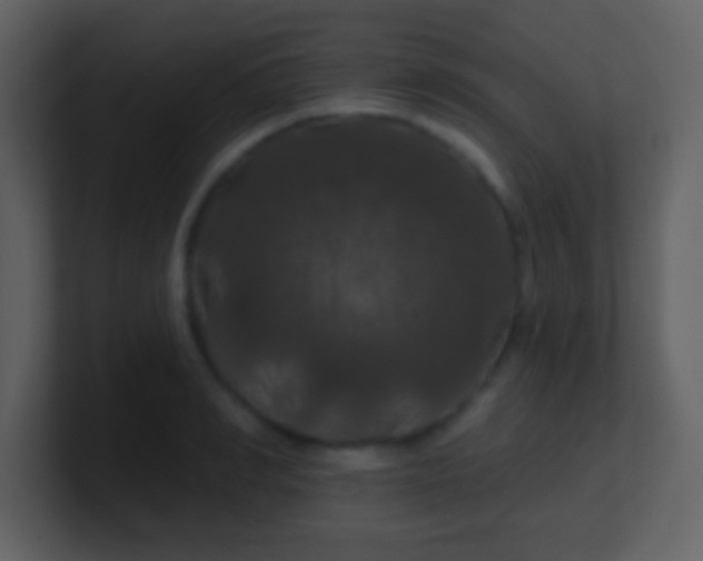 X0000100890990200807081037