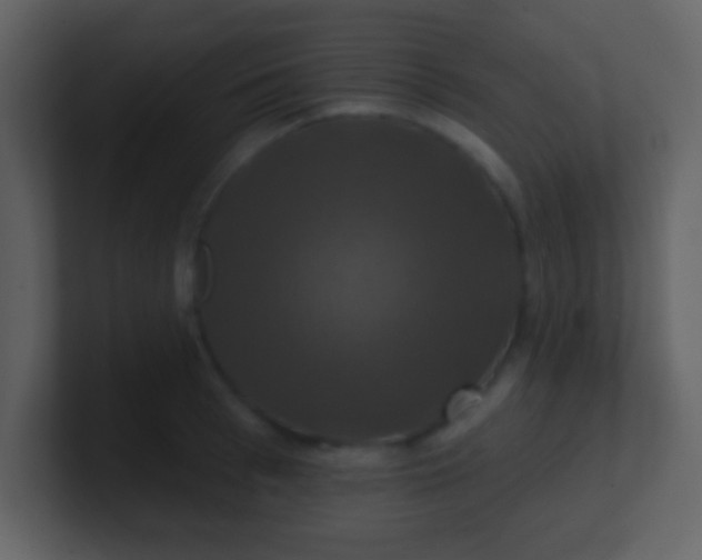 X0000100890993200807081037