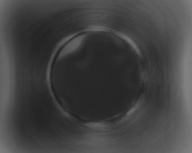 X0000100890995200807081037