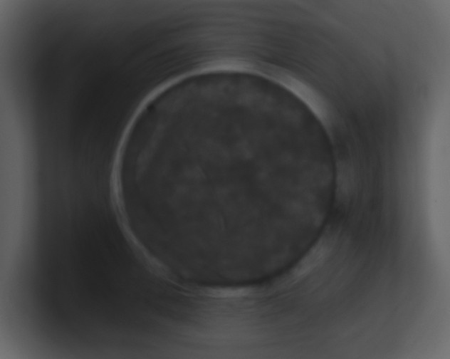 X0000100890996200807081037