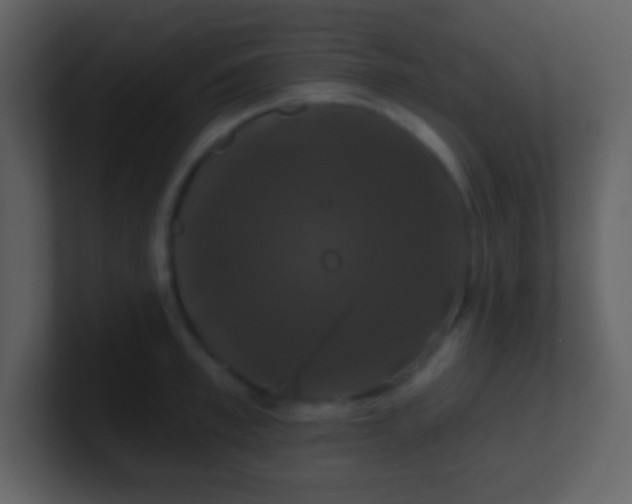 X0000100890997200807081037