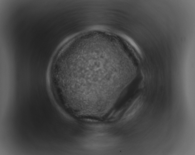 X0000100890999200807081037