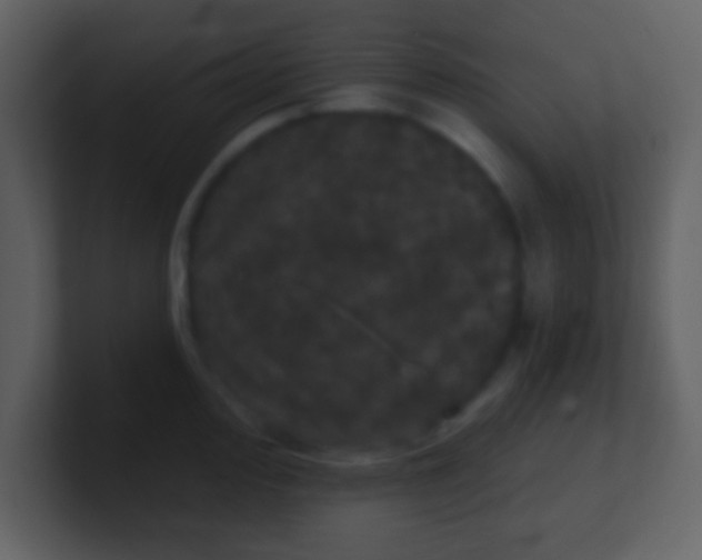 X0000100891000200807081037