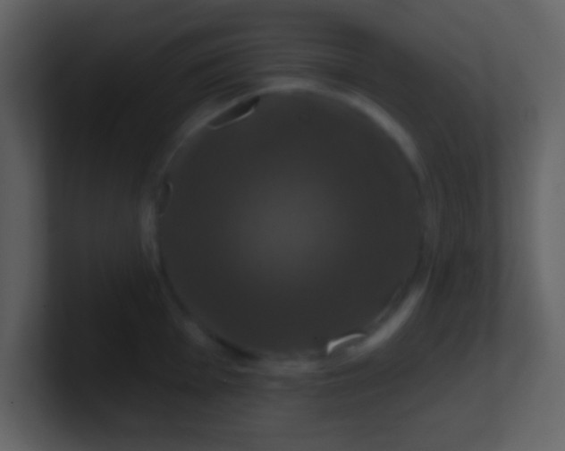 X0000100891001200807081037