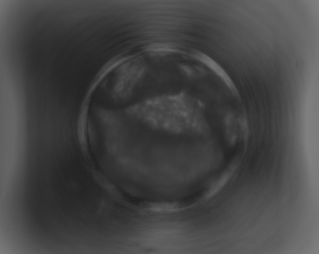 X0000100891002200807081037