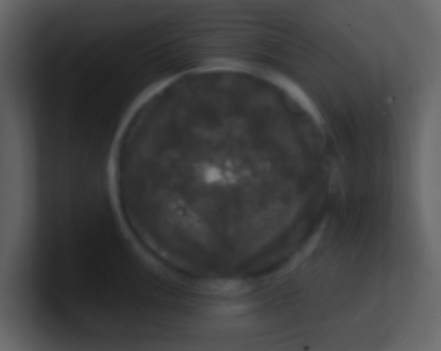 X0000100891003200807081037