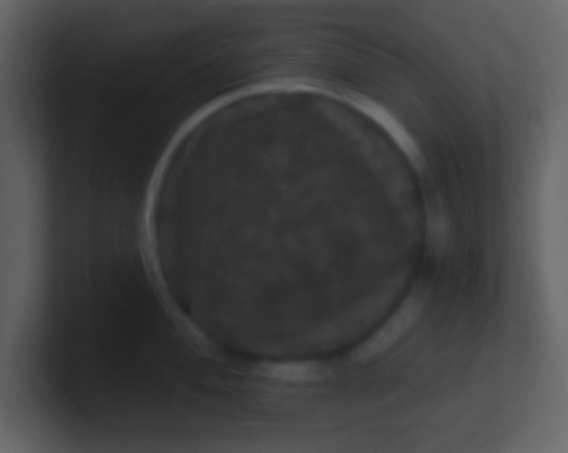 X0000100891004200807081037