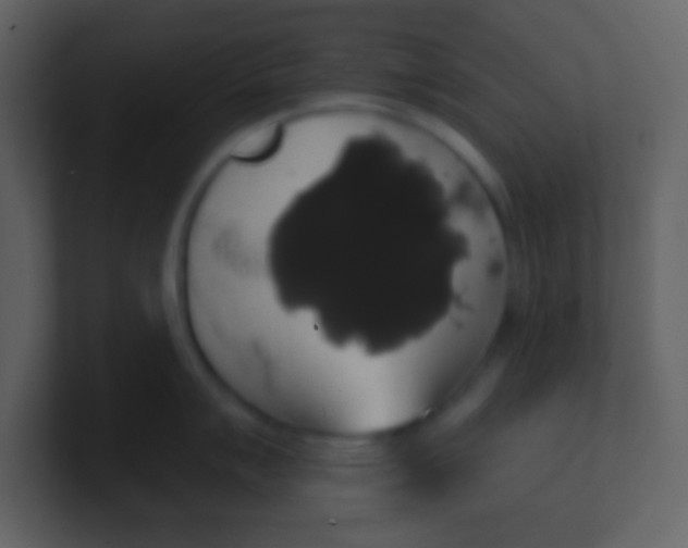 X0000100891007200807081037