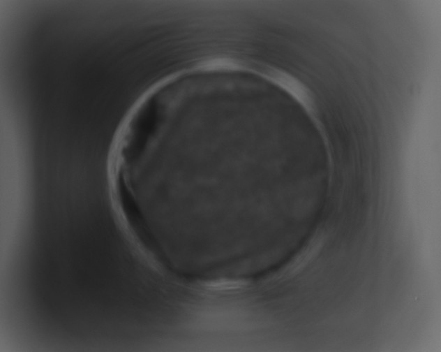 X0000100891008200807081037