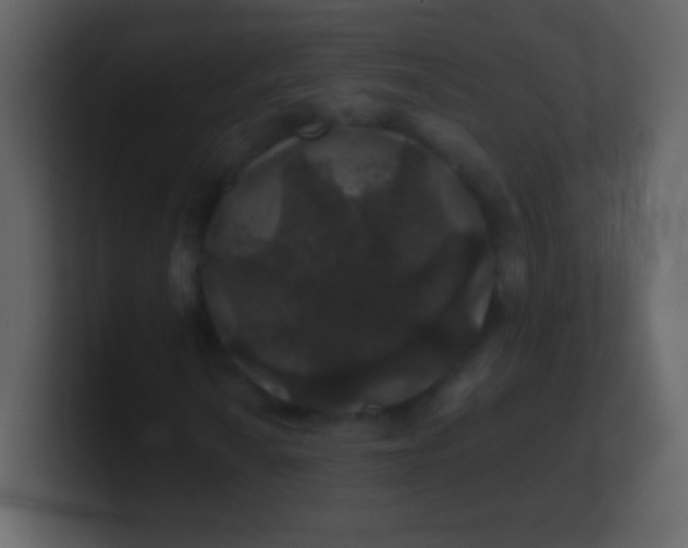 X0000100891010200807081036