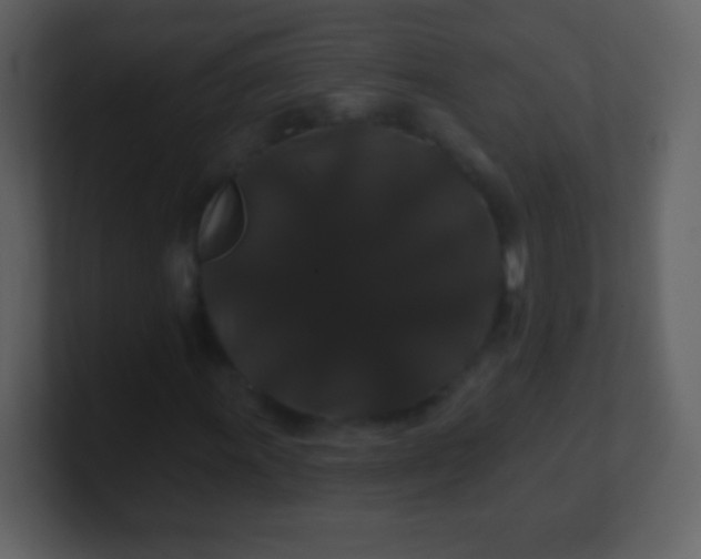 X0000100891011200807081036