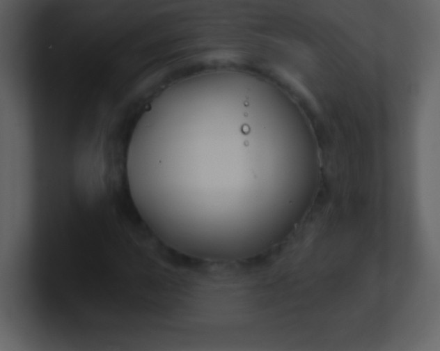 X0000100891015200807081036