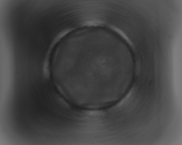 X0000100891018200807081036