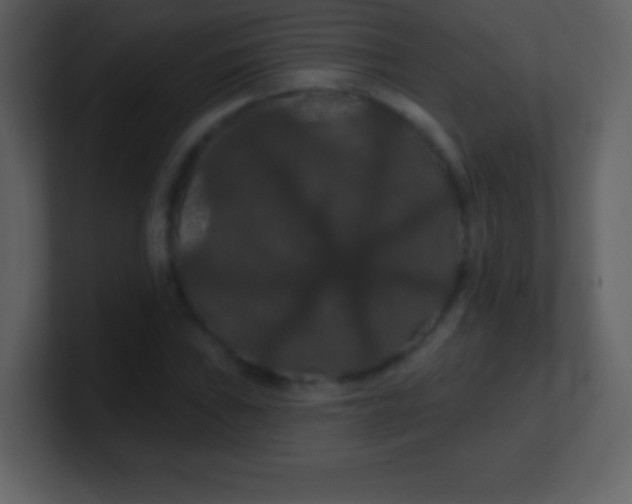 X0000100891019200807081036