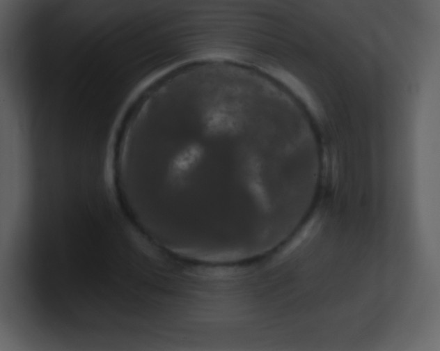 X0000100891020200807081036