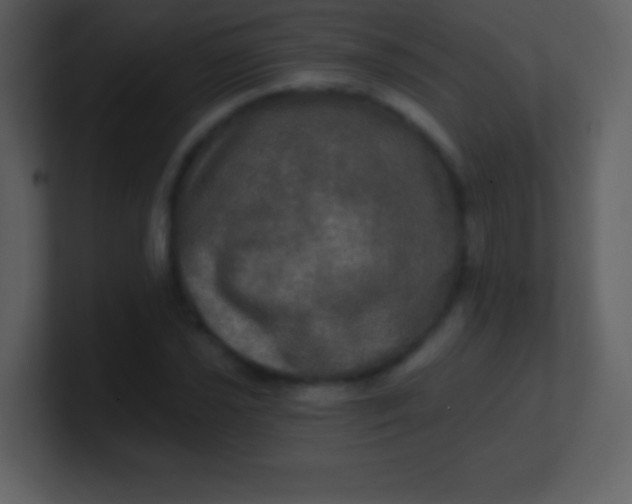 X0000100891021200807081036