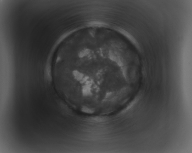 X0000100891022200807081036