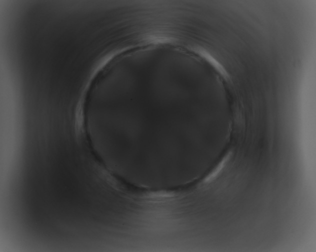 X0000100891023200807081036