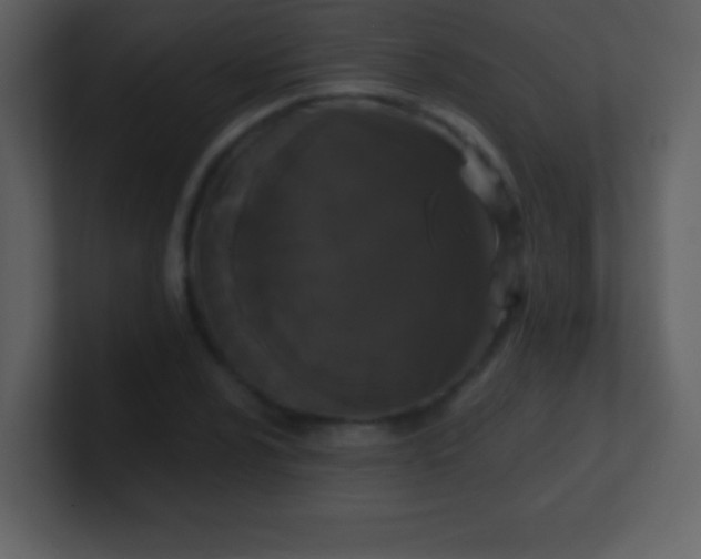 X0000100891024200807081036