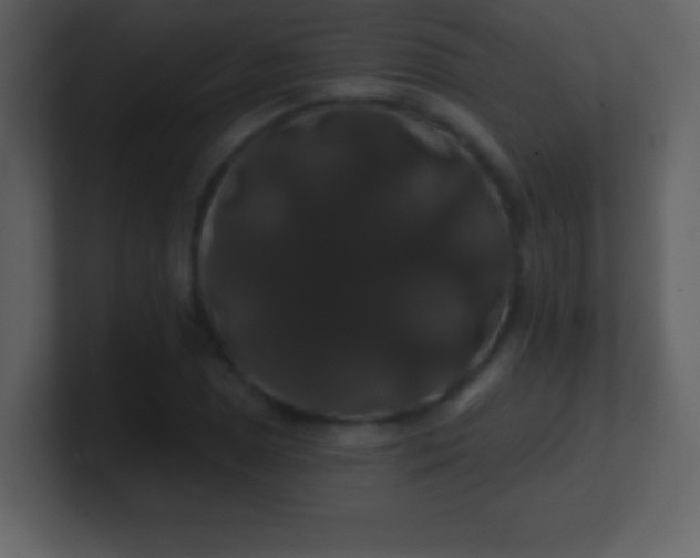 X0000100891025200807081036