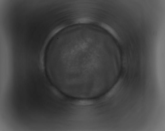 X0000100891026200807081036