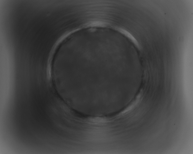 X0000100891027200807081036