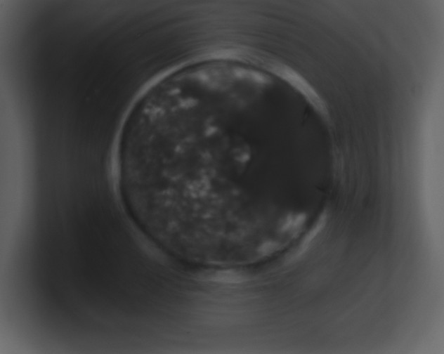 X0000100891028200807081036