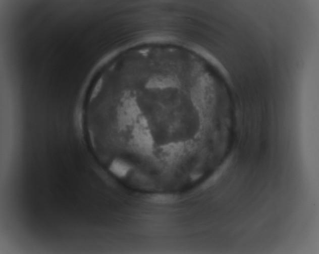 X0000100891029200807081036