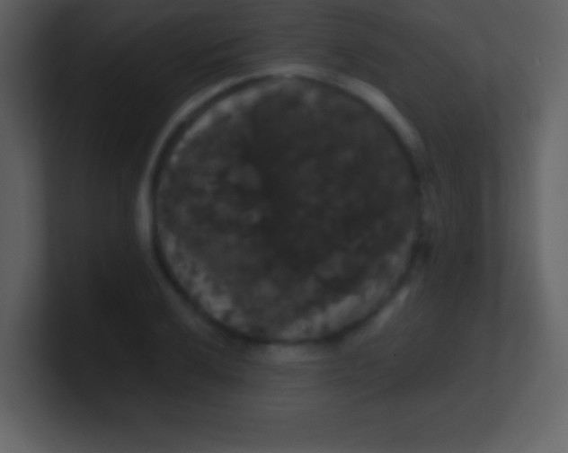 X0000100891032200807081036