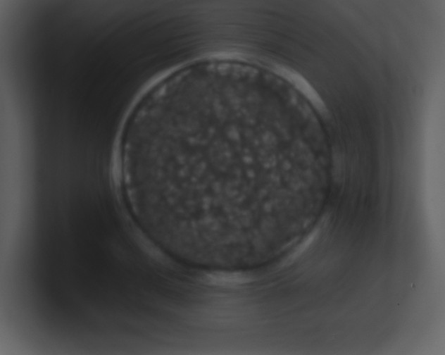 X0000100891036200807081036