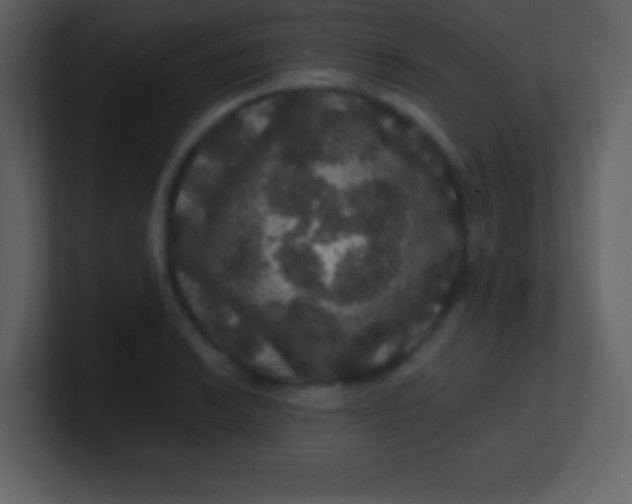 X0000100891038200807081036