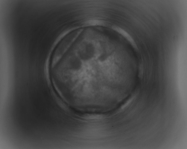 X0000100891039200807081037