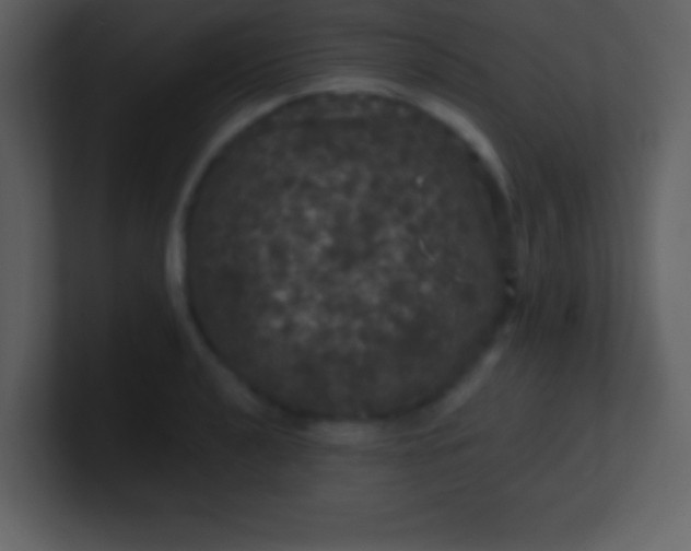 X0000100891040200807081037