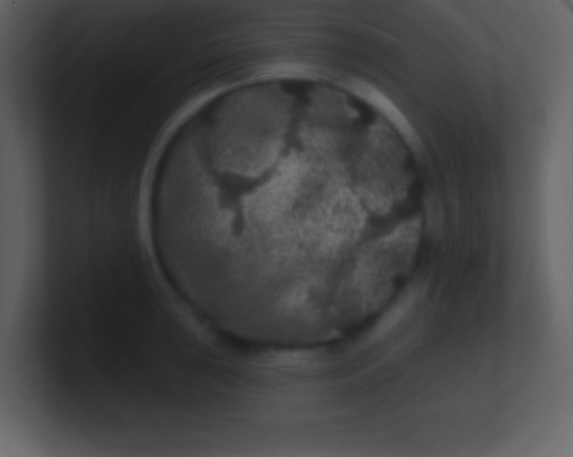 X0000100891043200807081037