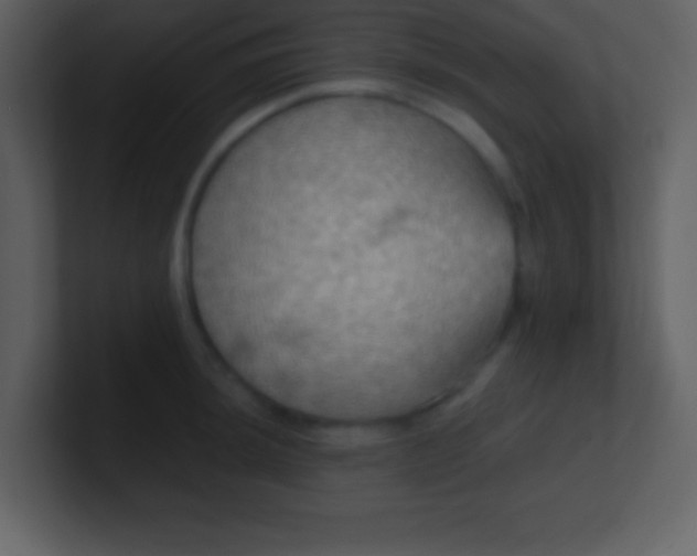 X0000100891044200807081037