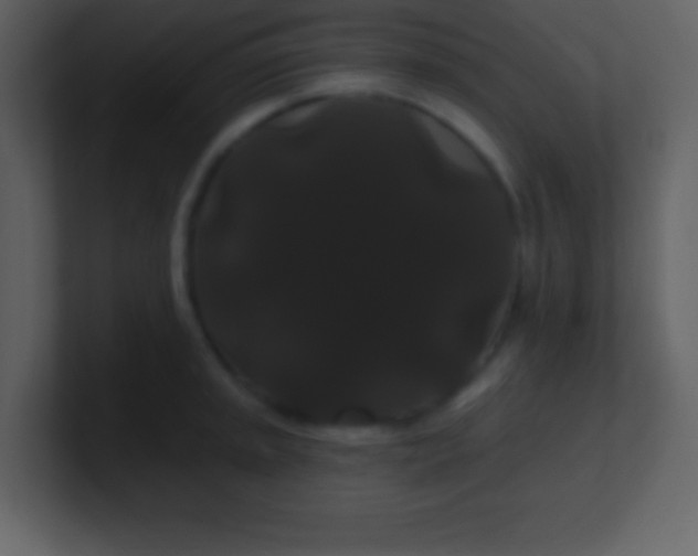 X0000100891045200807081037