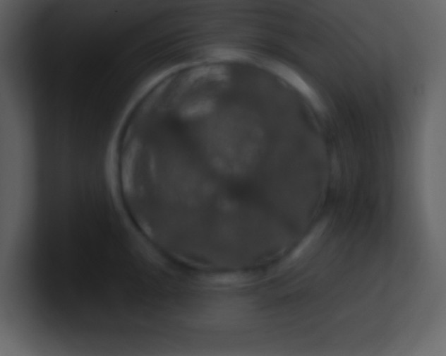 X0000100891047200807081037