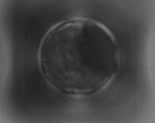 X0000100891048200807081037