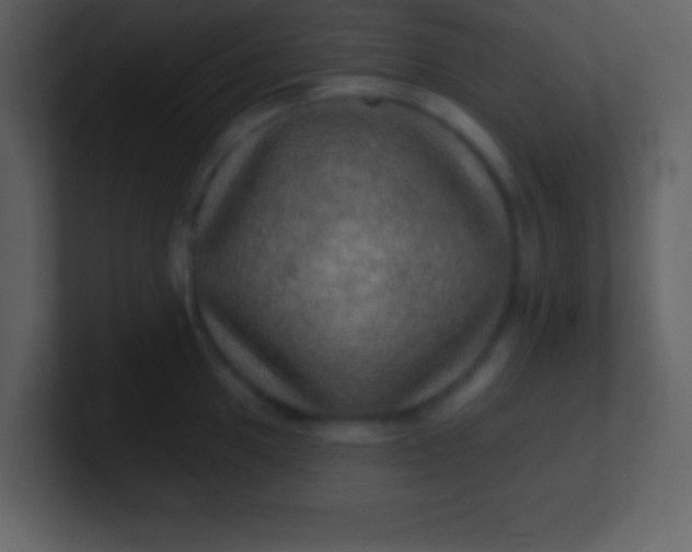 X0000100891049200807081037