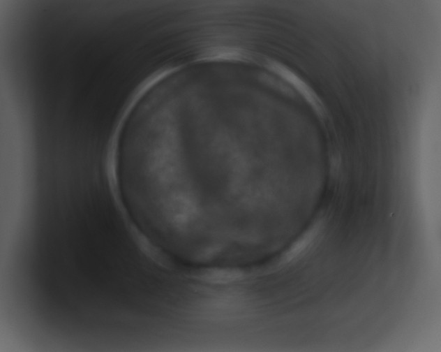 X0000100891050200807081037